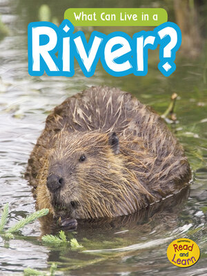 cover image of What Can Live in the River?